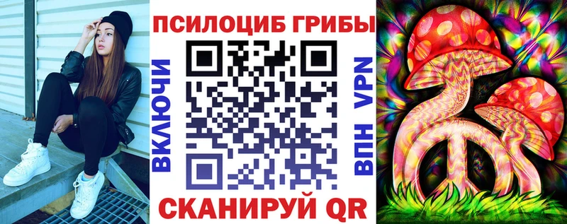 Псилоцибиновые грибы GOLDEN TEACHER  наркошоп  Высоцк 